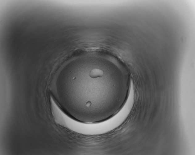 X0000088731441200706071630