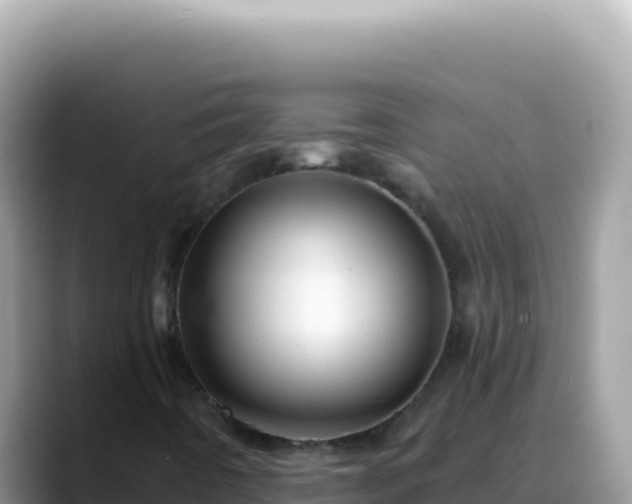 X0000088731442200706071630