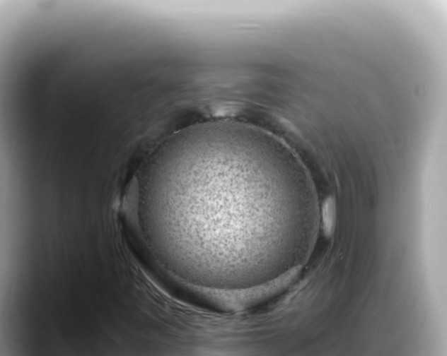 X0000088731443200706071630