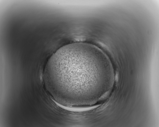 X0000088731444200706071630