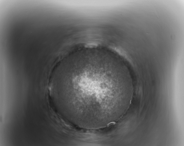 X0000088731445200706071630
