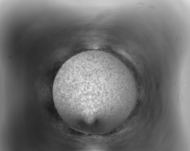 X0000088731446200706071630