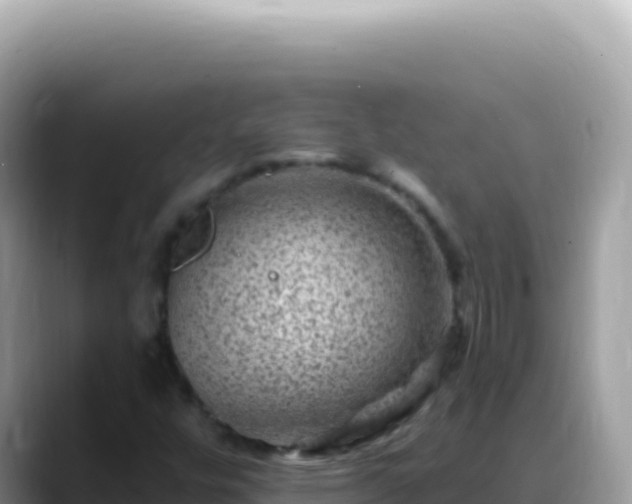 X0000088731448200706071630