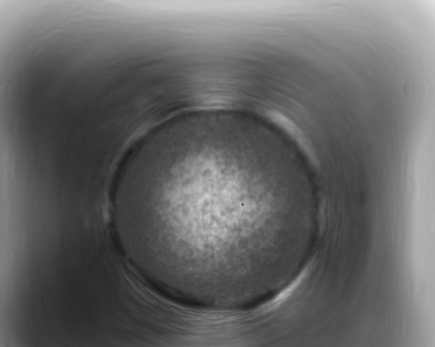 X0000088731449200706071630
