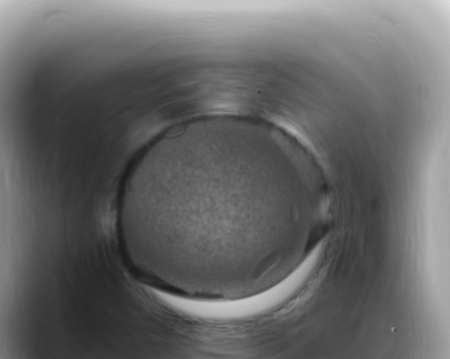 X0000088731450200706071630