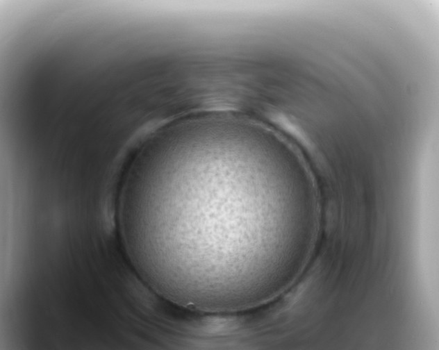 X0000088731451200706071630