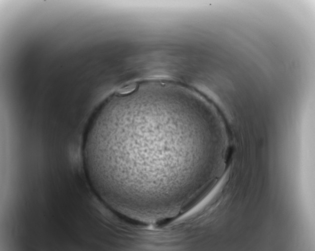 X0000088731452200706071630