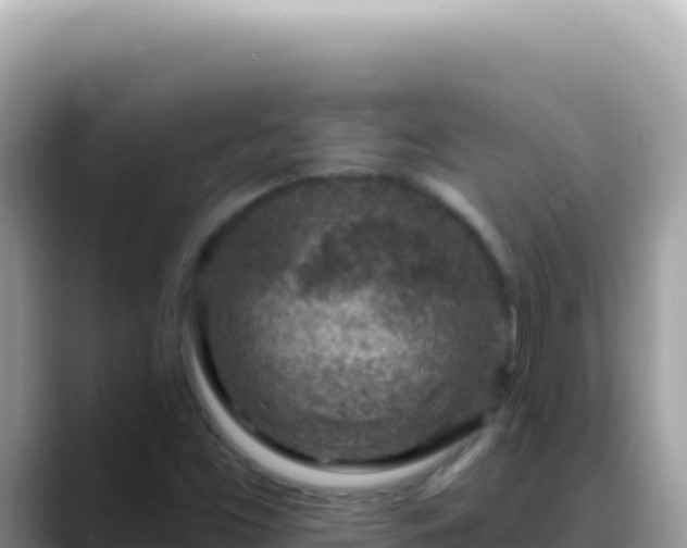 X0000088731453200706071630