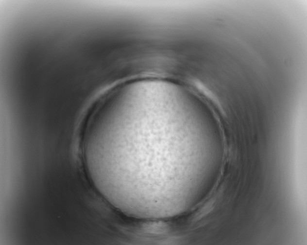 X0000088731454200706071630