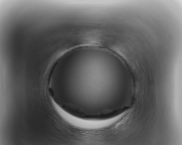 X0000088731455200706071630