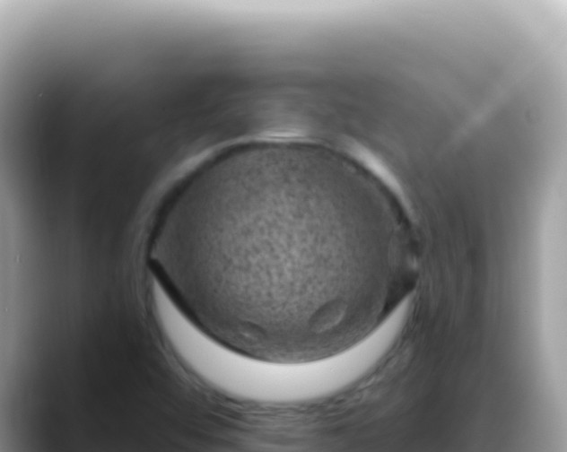 X0000088731456200706071630