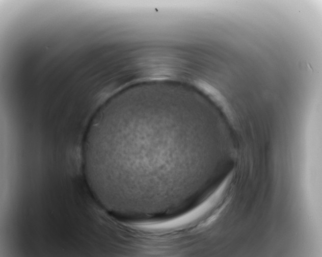 X0000088731457200706071630