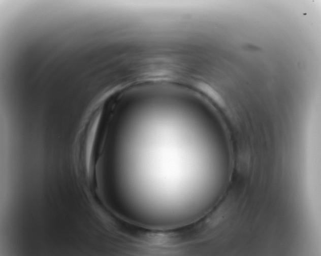 X0000088731458200706071630