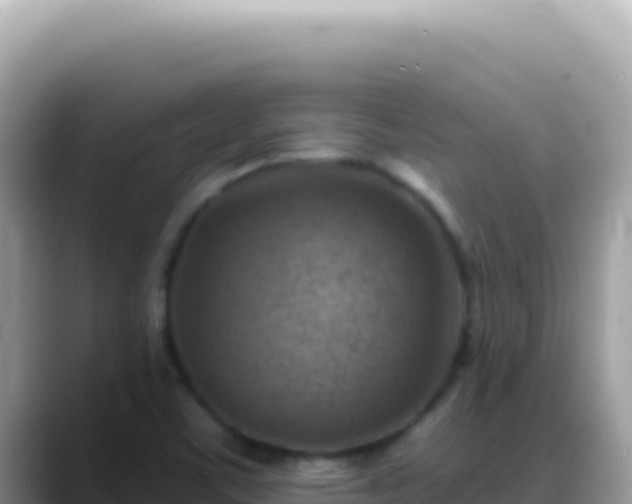 X0000088731459200706071630