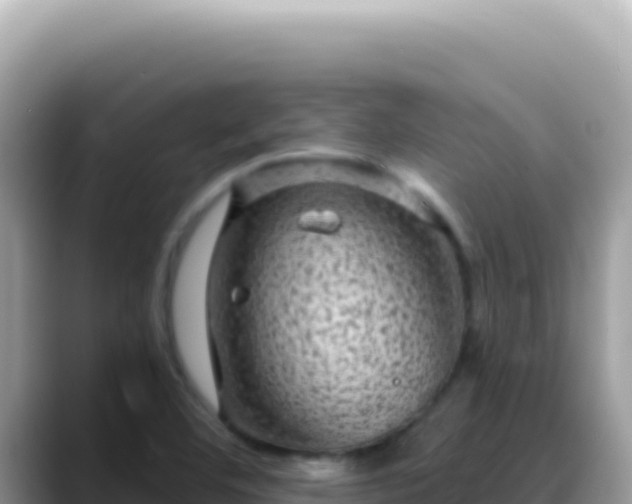 X0000088731460200706071630