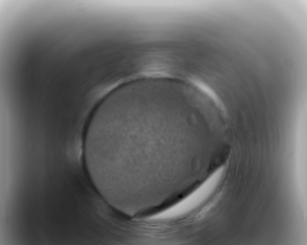 X0000088731461200706071630