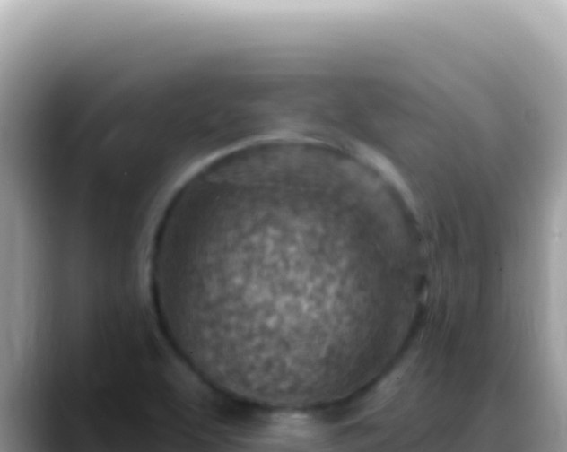 X0000088731463200706071630