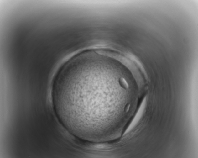 X0000088731464200706071630