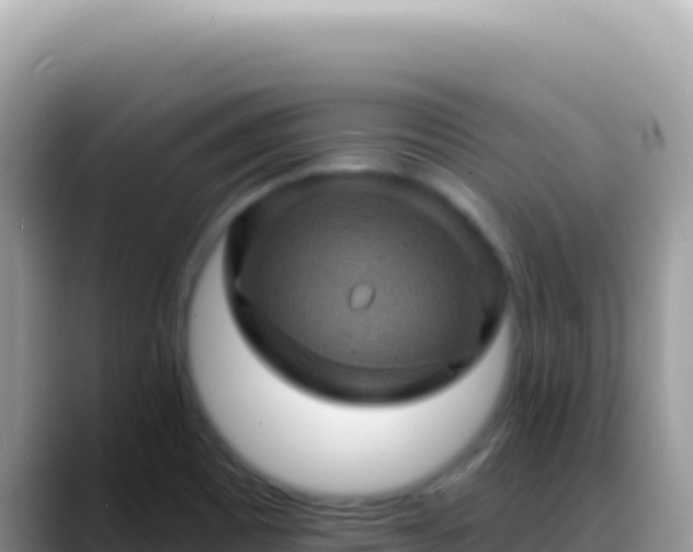 X0000088731465200706071630