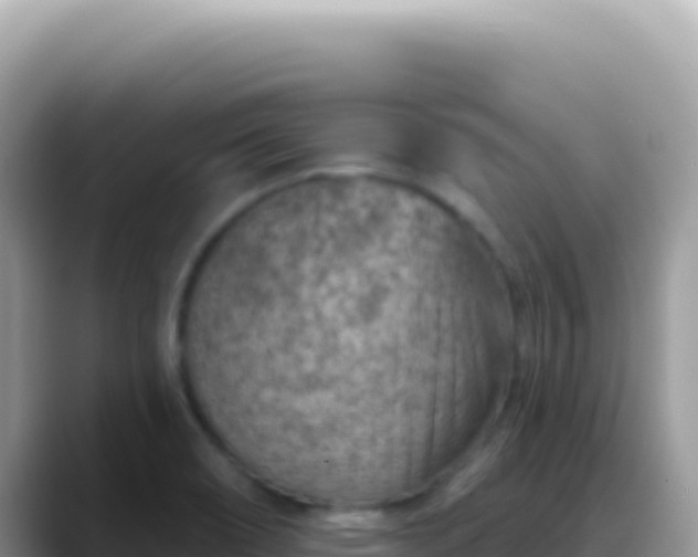 X0000088731466200706071630