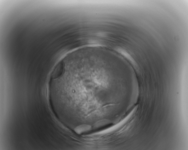 X0000088731467200706071630