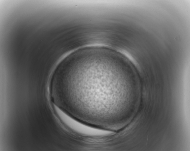 X0000088731468200706071630