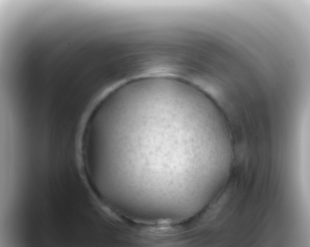 X0000088731470200706071630