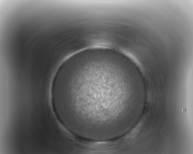 X0000088731471200706071630