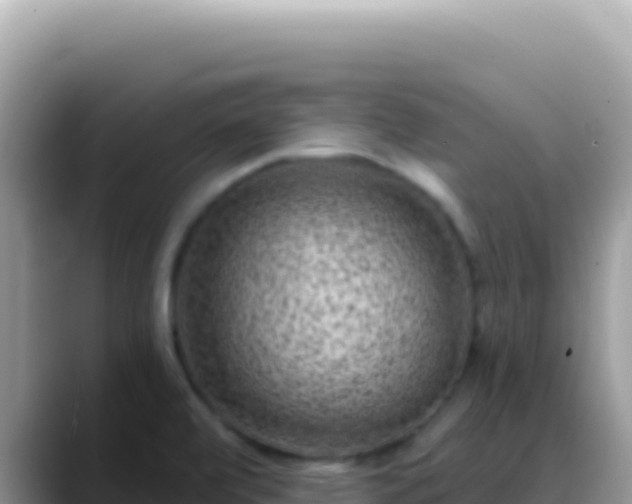 X0000088731472200706071630