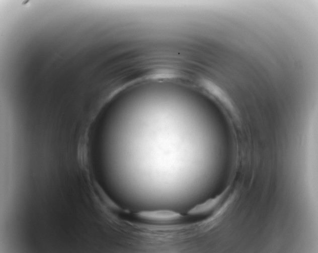 X0000088731473200706071630