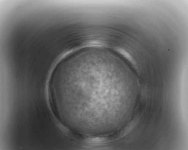 X0000088731474200706071630