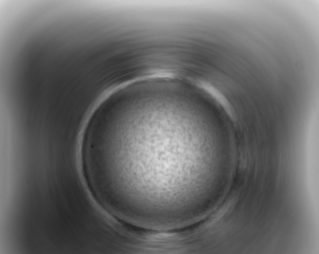 X0000088731475200706071630