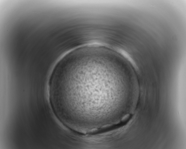 X0000088731476200706071630
