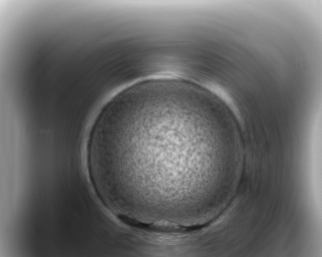 X0000088731480200706071630