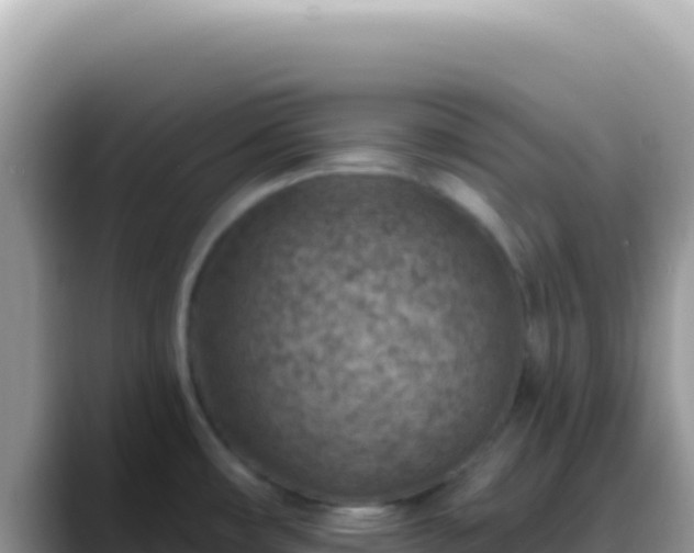 X0000088731482200706071630