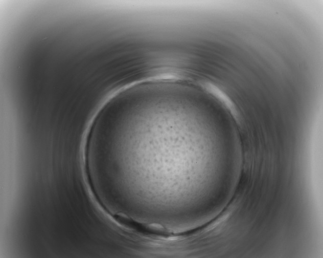 X0000088731483200706071630