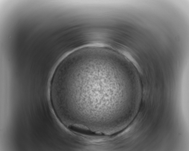 X0000088731484200706071630