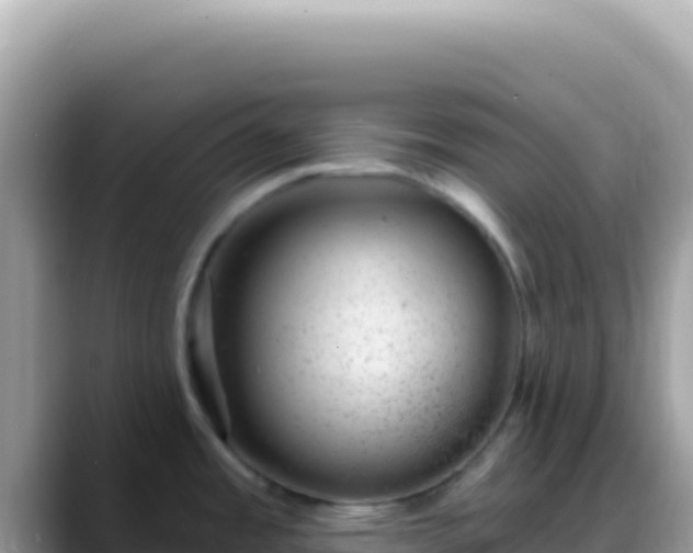 X0000088731485200706071630