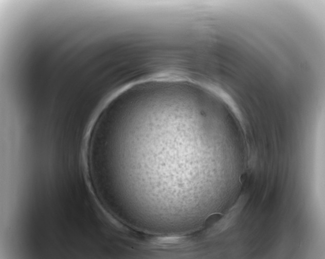 X0000088731486200706071630