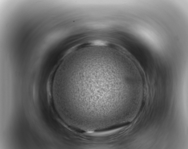 X0000088731487200706071630