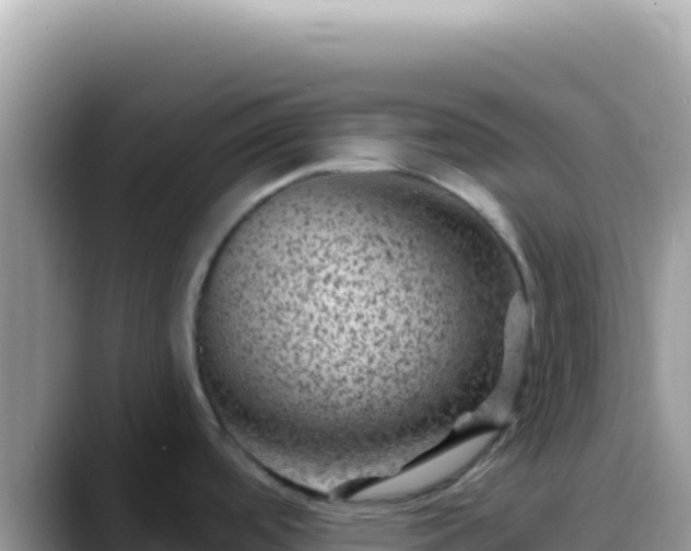 X0000088731488200706071630