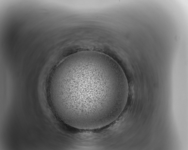 X0000088731489200706071629