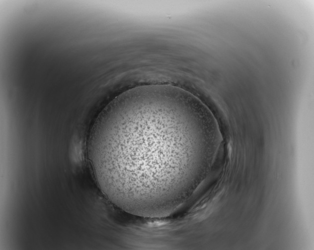X0000088731490200706071629