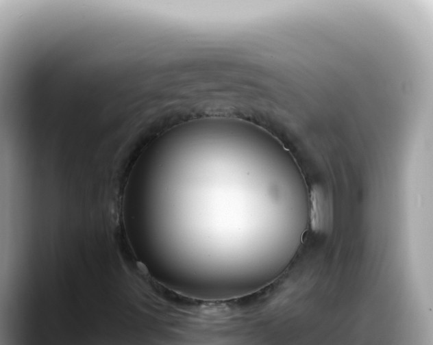 X0000088731491200706071629