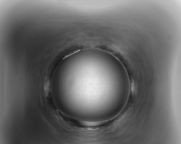 X0000088731492200706071629