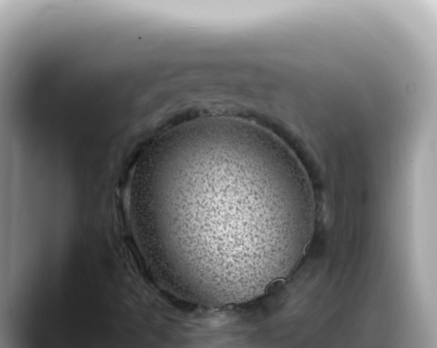 X0000088731493200706071629