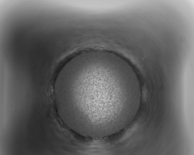 X0000088731494200706071629