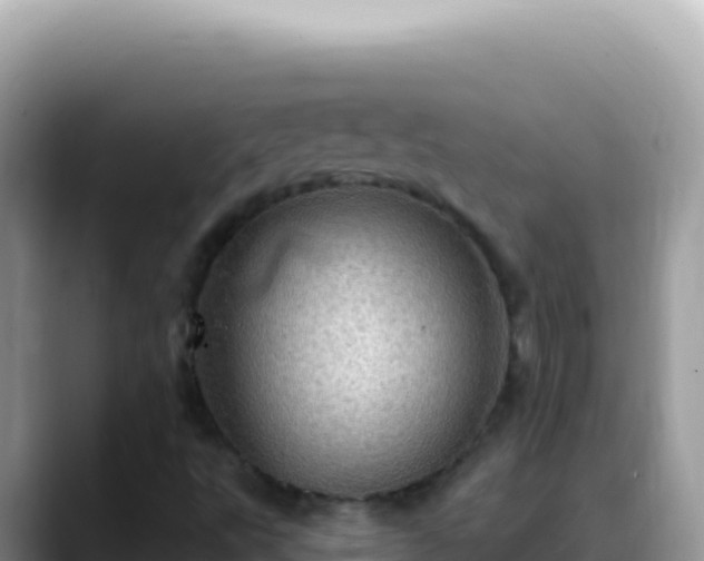 X0000088731495200706071629
