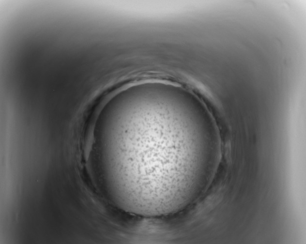 X0000088731496200706071629