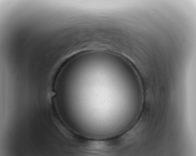 X0000088731499200706071629